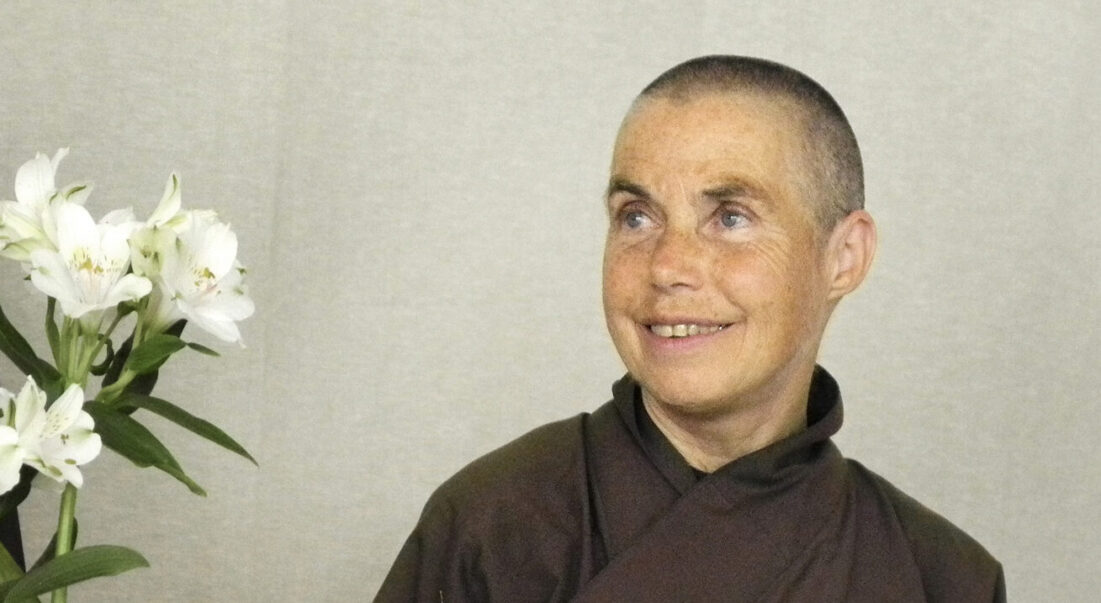 Scopri di più sull'articolo ‘La torcia che illumina il sentiero’, Ritiro offerto da Sister Chan Dieu Nghiem (aka Jina) dal 16 al 20 maggio 2012